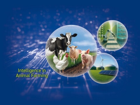 EuroTier 2026 Messe Bild